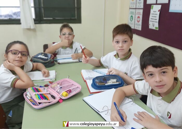 Periodo de diagnóstico