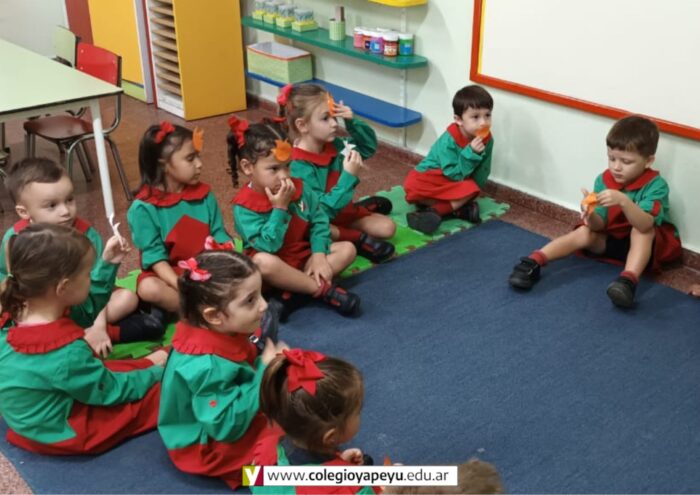 ¡Conociéndonos con la ayuda de Ember!