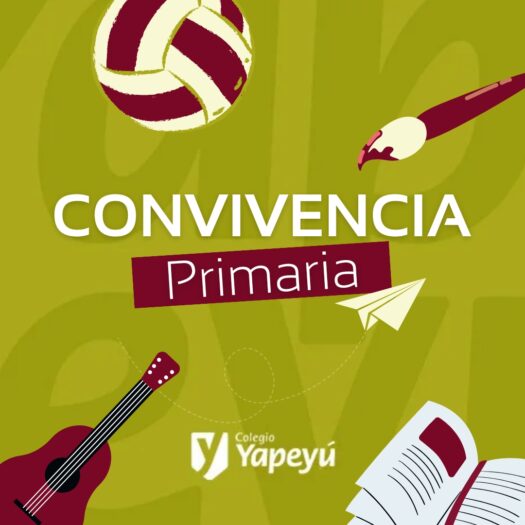 Convivencia de 6° grado