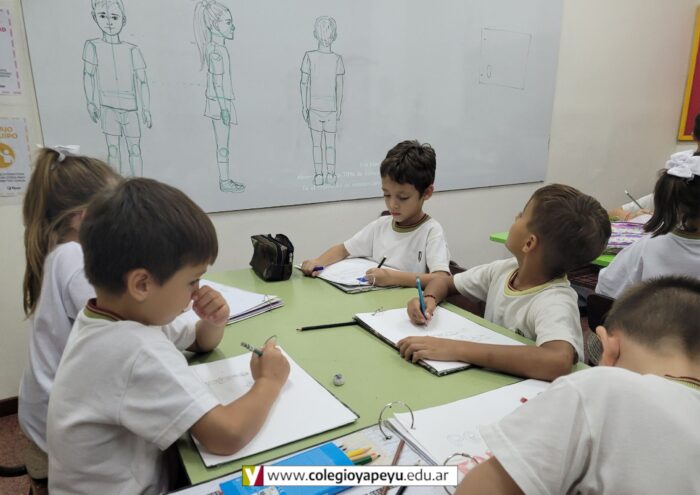 Vistas del cuerpo humano