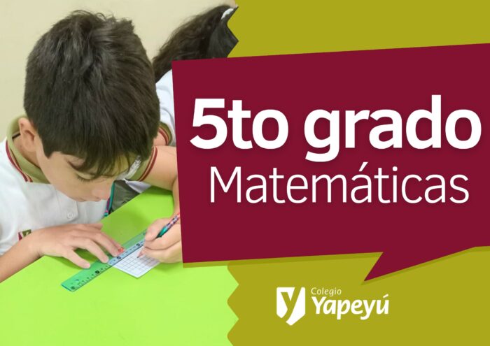 Desafío de la regla