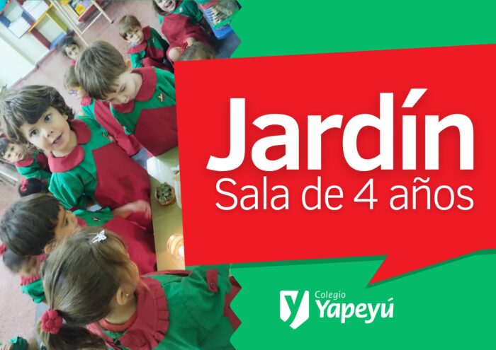 ¿Cómo los 4 elementos están presentes en nuestra vida?