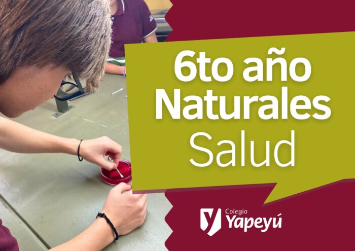 Cultivo de microorganismos