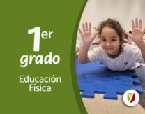 Habilidades motoras básicas