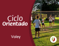 Juego aplicativo de voleibol