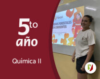 Incendios forestales en Corrientes