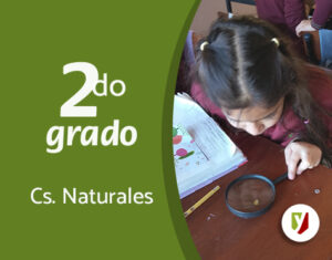 La semilla: sus partes