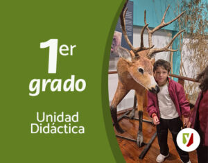 ¿Quién invade a quién?