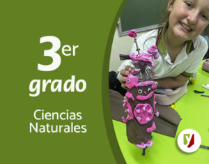 Armando nuestros árboles guardianes del planeta.