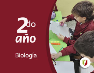 Destacando actividades