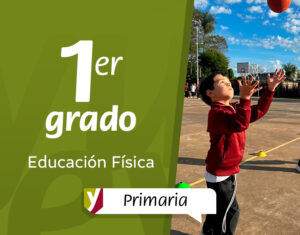 Primeros pasos en la manipulación