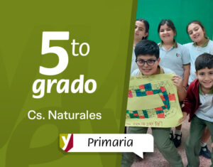 ¡Pequeños científicos, grandes descubrimientos!