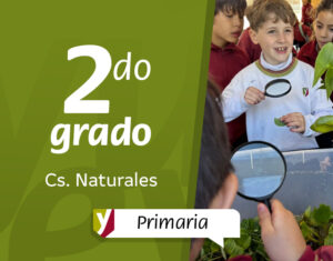 Pequeños científicos