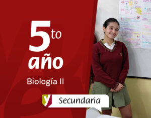 La Cognición Social y la transformación en la Adolescencia